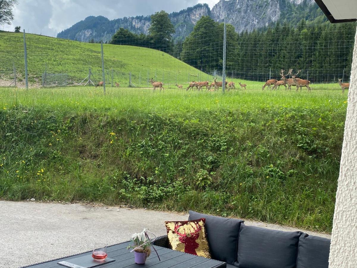 Berghof Haselsberger Appartements Sankt Johann in Tirol Buitenkant foto