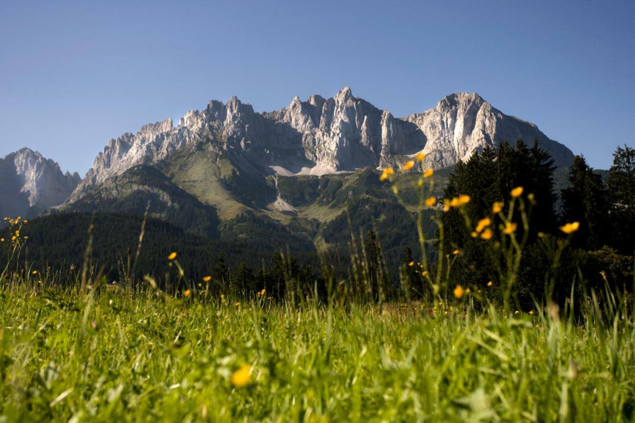 Berghof Haselsberger Appartements Sankt Johann in Tirol Buitenkant foto