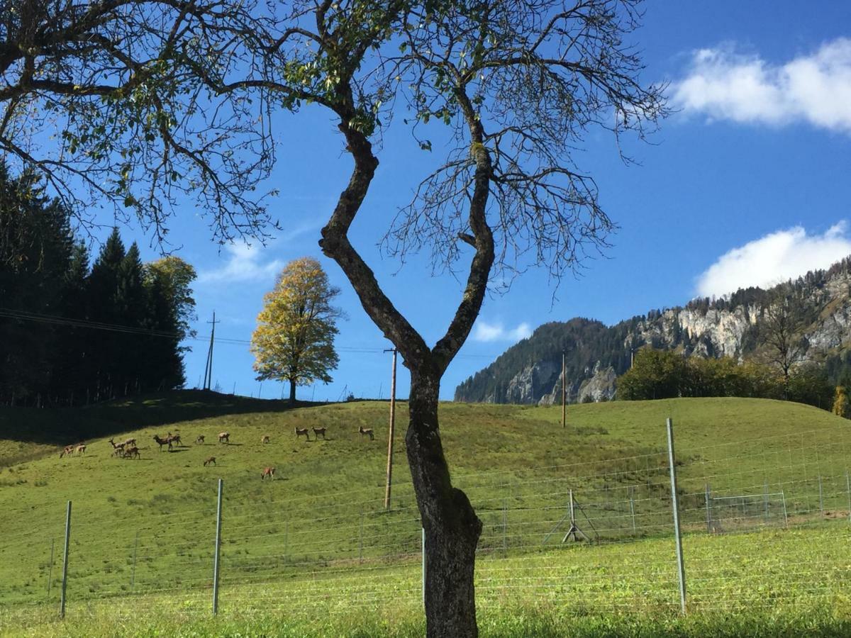 Berghof Haselsberger Appartements Sankt Johann in Tirol Buitenkant foto