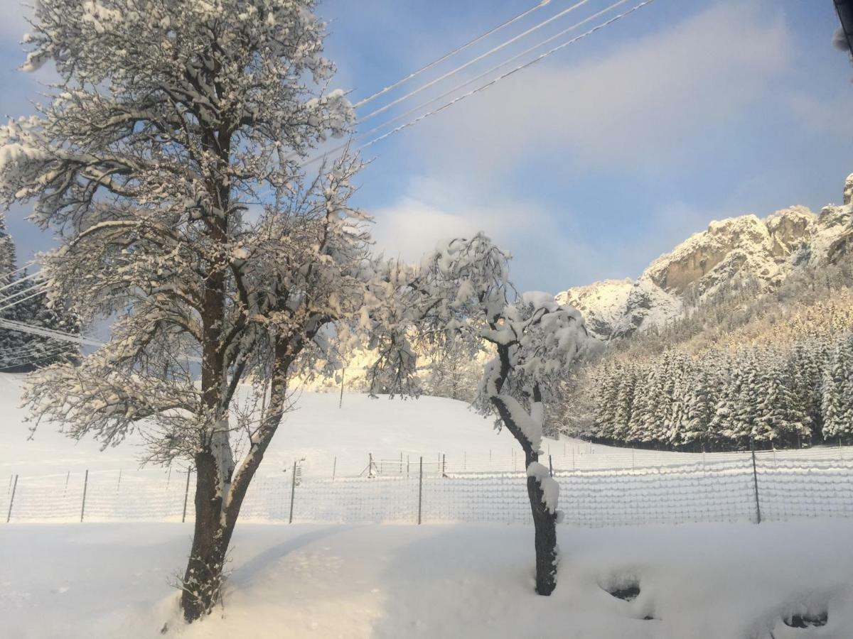 Berghof Haselsberger Appartements Sankt Johann in Tirol Buitenkant foto