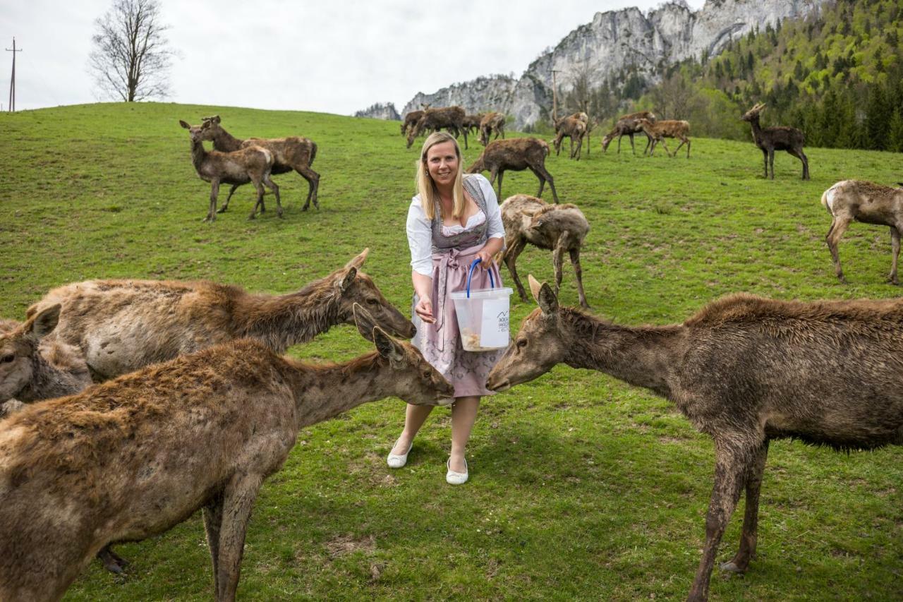 Berghof Haselsberger Appartements Sankt Johann in Tirol Buitenkant foto